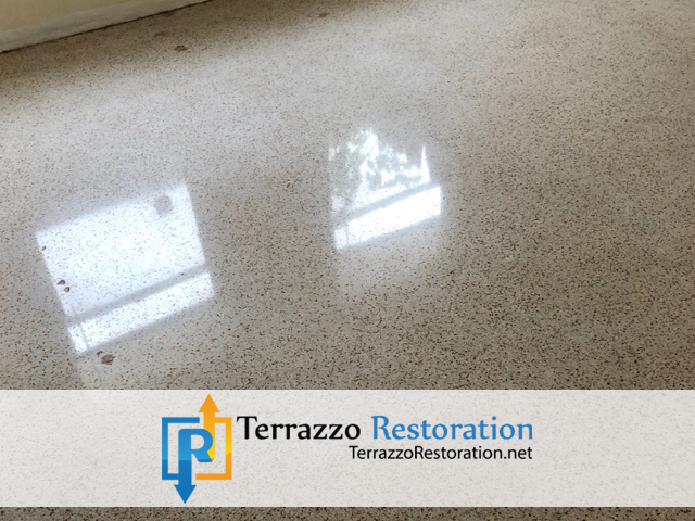 Terrazzo Polishing