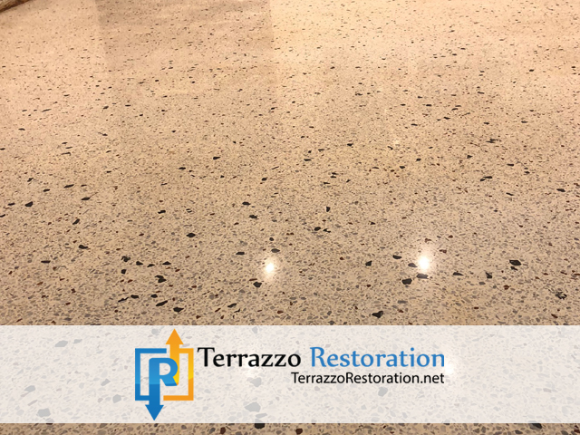 Terrazzo Cleaning Service