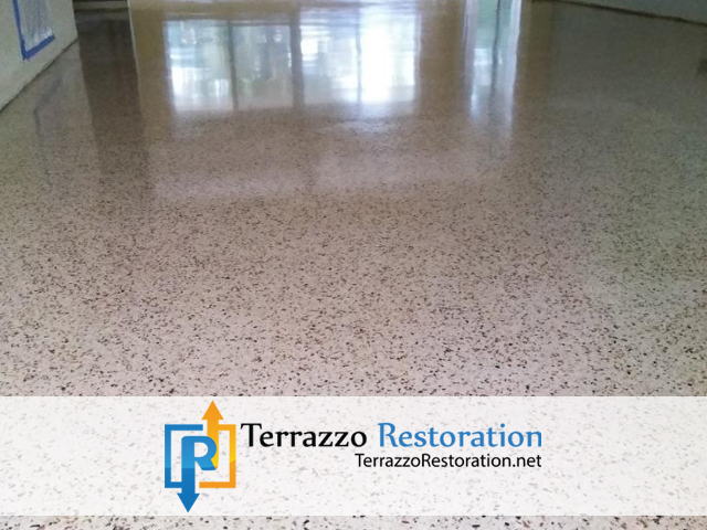 Terrazzo Floor Restoration