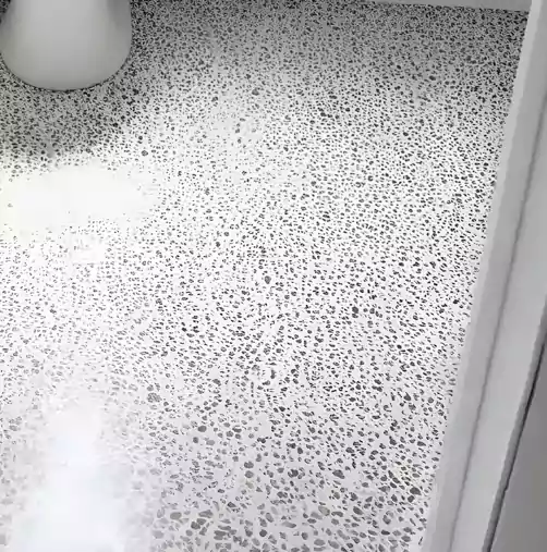 Terrazzo Clean and Restore