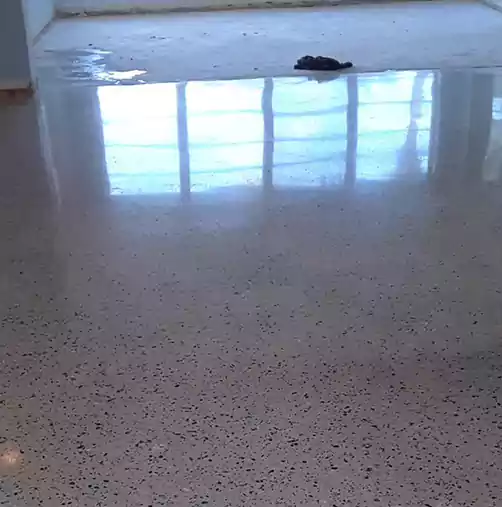 Terrazzo Cleaners