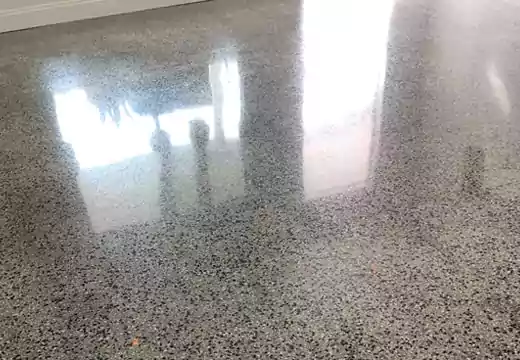 Terrazzo Floor