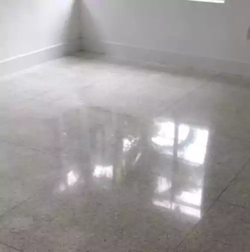 Terrazzo Polish