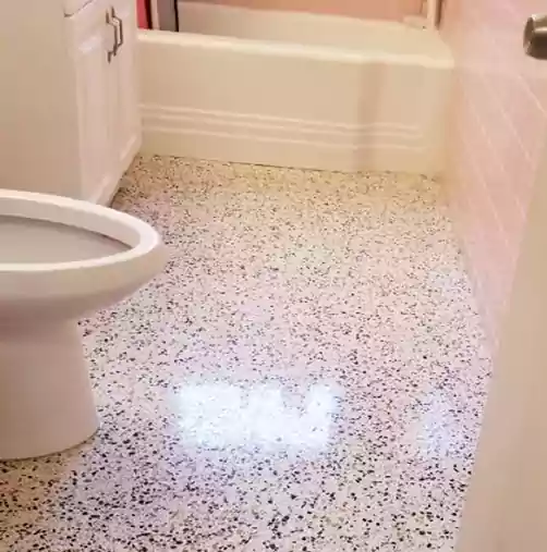 Terrazzo Polishers