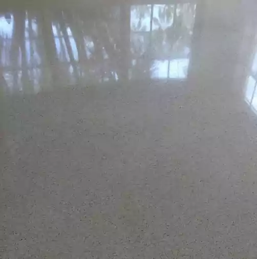 Terrazzo Repair Process