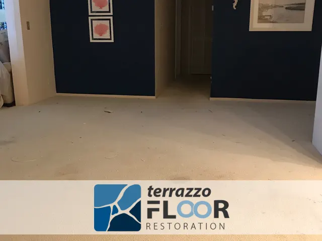 Terrazzo Floor Polishing